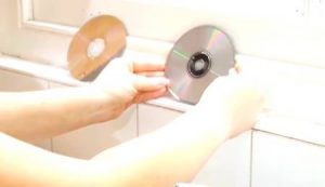 Cleanning-CDs-that-skip-Step-3